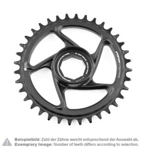 E*thirteen MTB-Kettenblatt E*spec