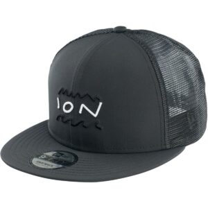 ION Cap Statement